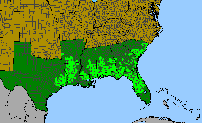 The range of Smilax pumila